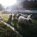 Daire Feriendorf Reinskopf In Der Eifel Schönecken
