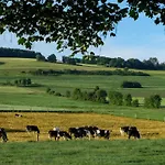 Feriendorf Reinskopf In Der Eifel Daire Schönecken