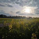 Feriendorf Reinskopf In Der Eifel