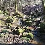 Daire Feriendorf Reinskopf In Der Eifel