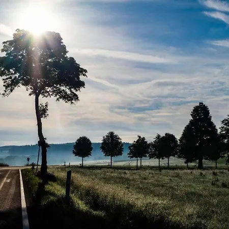 Feriendorf Reinskopf In Der Eifel Apartamento Schönecken