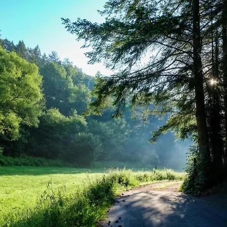 Feriendorf Reinskopf In Der Eifel * Schönecken
