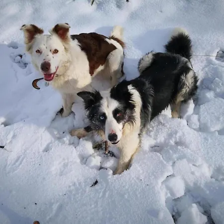 Apartamento Feriendorf Reinskopf In Der Eifel