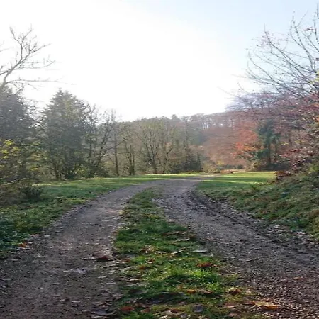 Feriendorf Reinskopf In Der Eifel Schönecken