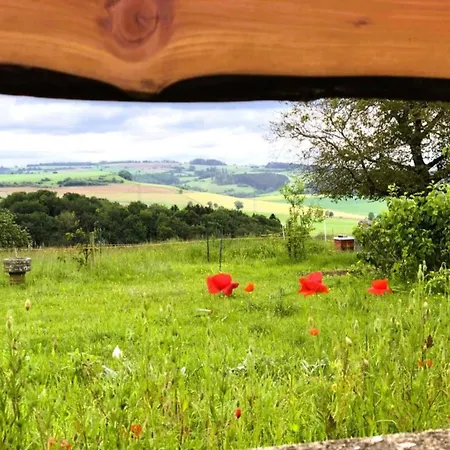 Reinskopf In Der Eifel