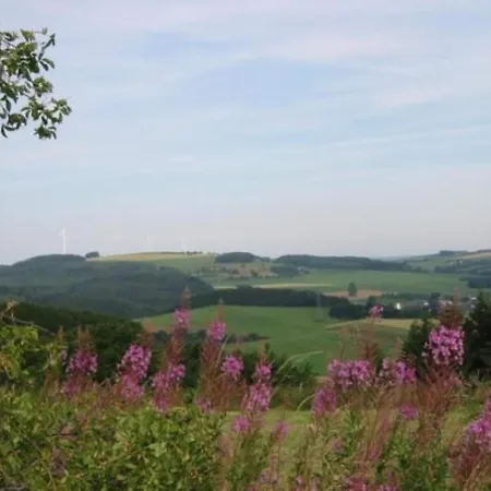 Reinskopf In Der Eifel * Schönecken