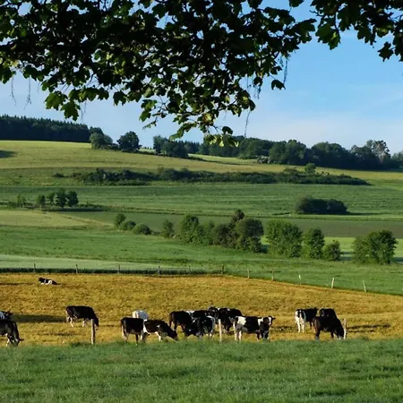 Reinskopf In Der Eifel Apartment Schönecken