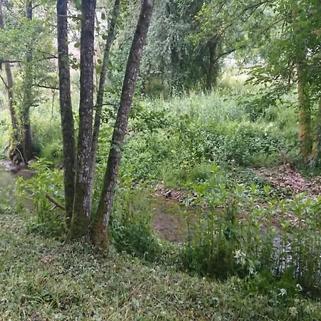 Apartment Reinskopf In Der Eifel Schönecken