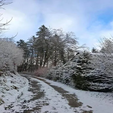 Reinskopf In Der Eifel Apartment