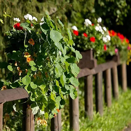 Feriendorf Reinskopf In Der Eifel *