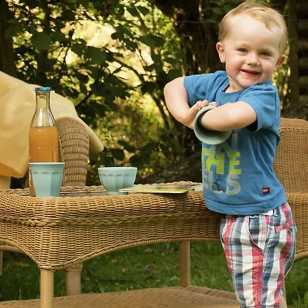 Lägenhet In Reinskopf With Fireplace And Balcony Schönecken