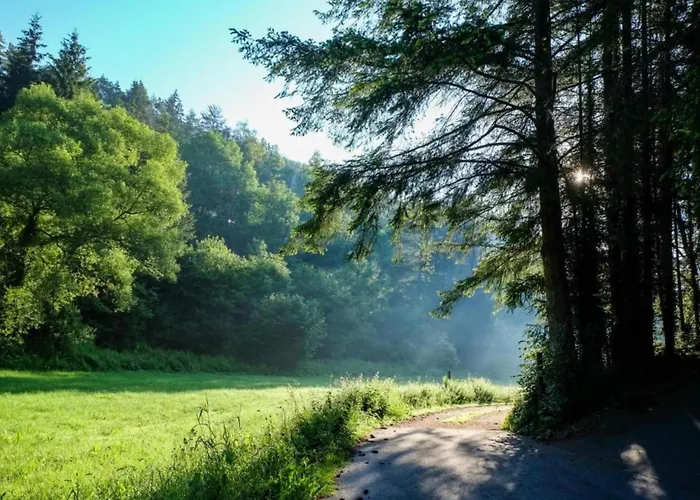 Feriendorf Reinskopf In Der Eifel * Schönecken
