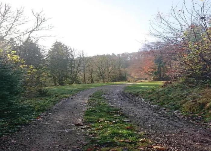 Feriendorf Reinskopf In Der Eifel Schönecken