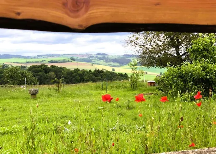 Feriendorf Reinskopf In Der Eifel