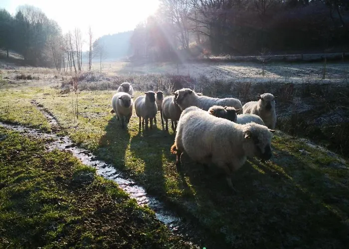 Apartment In Reinskopf With Fireplace And Balcony Schonecken