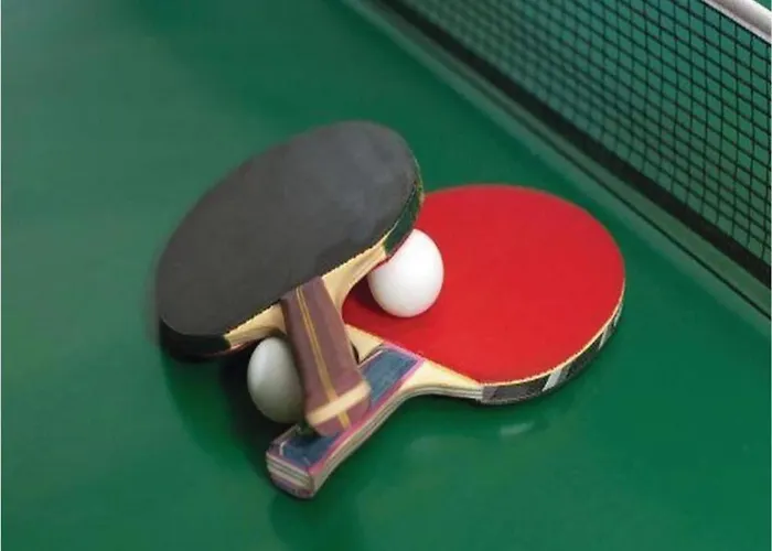 Apartment In Reinskopf With Fireplace And Balcony