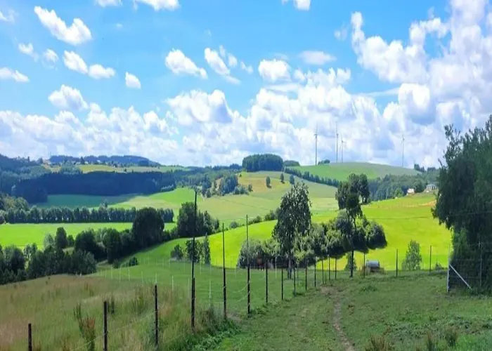 Feriendorf Reinskopf In Der Eifel