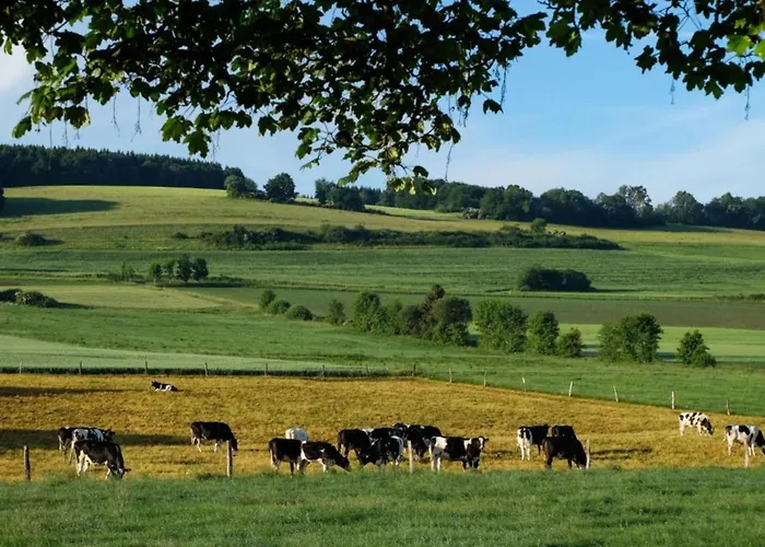 Feriendorf Reinskopf In Der Eifel Apartamento Schönecken