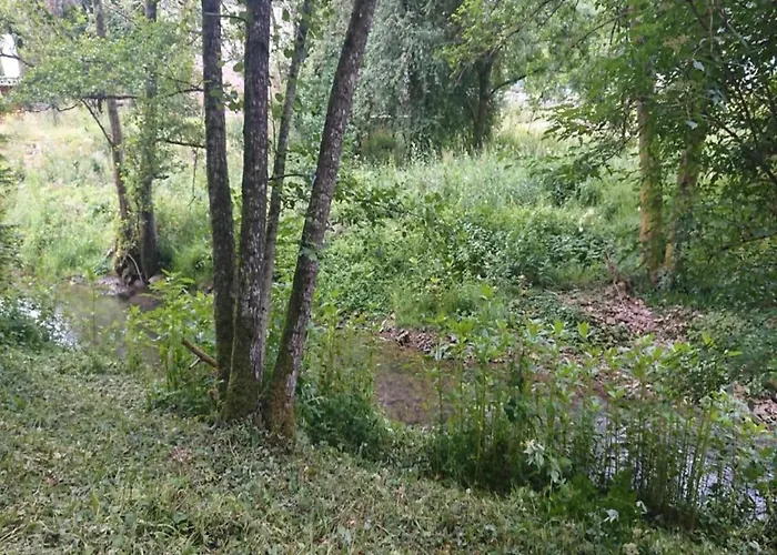 Apartamento Feriendorf Reinskopf In Der Eifel Schönecken