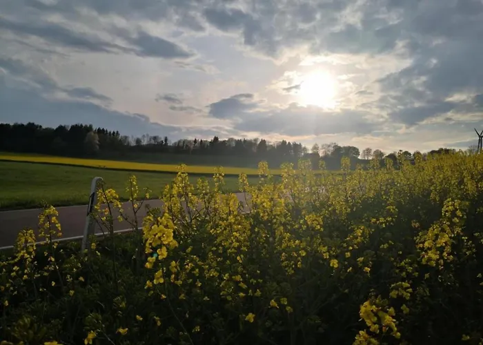 Feriendorf Reinskopf In Der Eifel