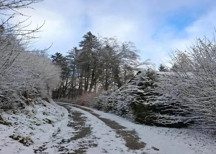 Feriendorf Reinskopf In Der Eifel Apartamento