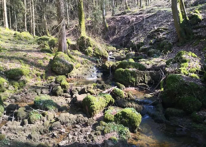 Apartamento Feriendorf Reinskopf In Der Eifel