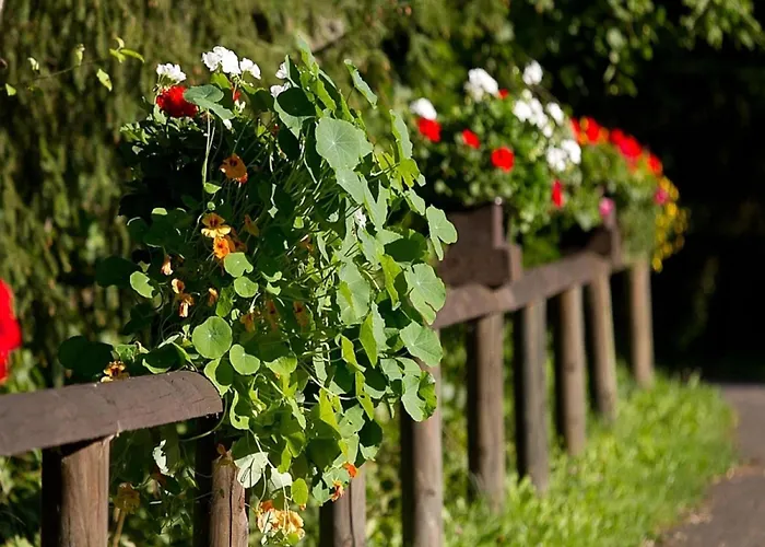 In Reinskopf With Fireplace And Balcony *
