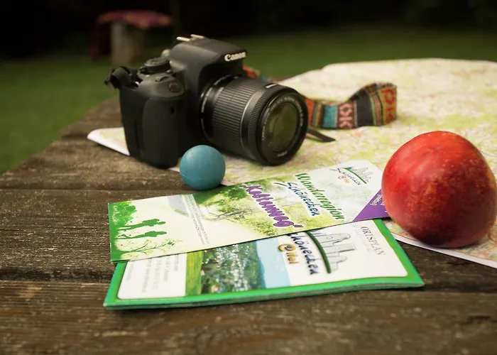 In Reinskopf With Fireplace And Balcony * Schonecken